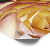 Bouquet der Rose Fotodruck (Ecke)