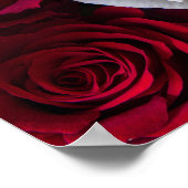 BOUQUET DER ROSE POSTER (Ecke)