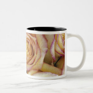Bouquet der Rose Zweifarbige Tasse