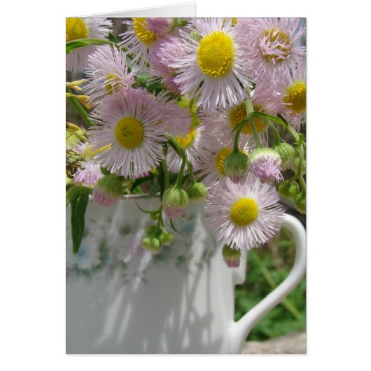 Bouquet des Unkrauts (Vorne)