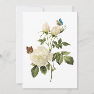 Bouquet mit weißen Rosen und Schmetterlingen Einla Einladung