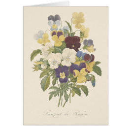 Bouquet Pansy Stiefmütterchen Blume Illustration