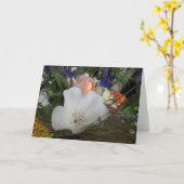 Bouquet, UCSC Bio Garden Karte (Gelbe Blume)