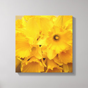 Bouquet von Affodils Leinwanddruck