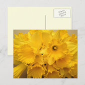 Bouquet von Affodils Postkarte (Vorne/Hinten)