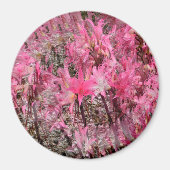 Bouquet von Amaryllis...... Magnet (Vorne)