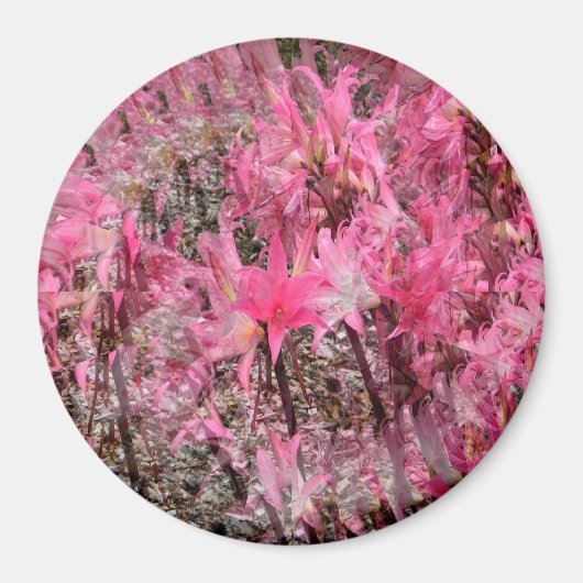 Bouquet von Amaryllis...... Magnet (Vorne)