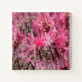 Bouquet von Amaryllis...... Notizblock (Rückseite)