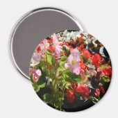 Bouquet von Begonias... Magnet (Vorderseite/Rückseite)