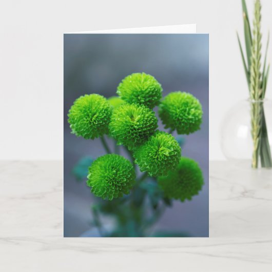 Bouquet von Green Santini Chrysanthemum Blume Karte (Vorderseite)