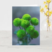 Bouquet von Green Santini Chrysanthemum Blume Karte (Gelbe Blume)