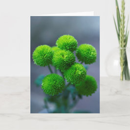 Bouquet von Green Santini Chrysanthemum Blume Karte