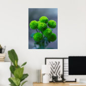 Bouquet von Green Santini Chrysanthemum Blume Poster (Heimbüro)