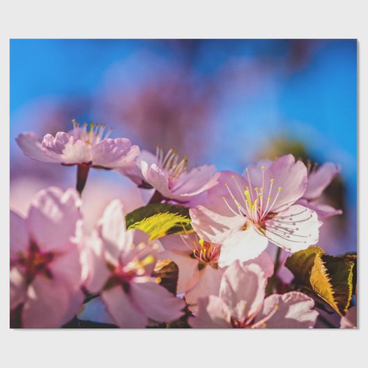 Bouquet von Sakura-Blume Geschenkpapier (Flach)