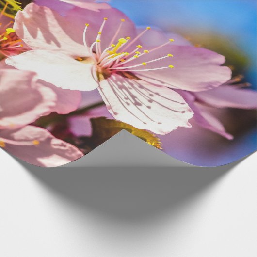 Bouquet von Sakura-Blume Geschenkpapier (Ecke)