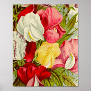 Bouquet von Süßerbsen-Blume-Trivet Poster