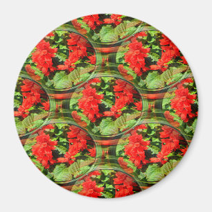 Bouquets von Salvia's...... Magnet