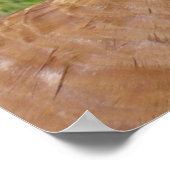 Bourbon Red Turkey Poster (Ecke)