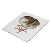 Bourbon Red Turkey Poult Fliese (Seite)