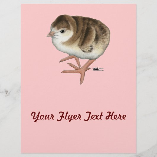 Bourbon Red Turkey Poult Flyer (Vorne)