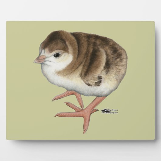 Bourbon Red Turkey Poult Fotoplatte (Vorderseite)