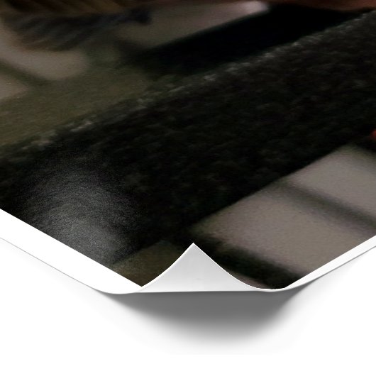 Bourkes Parakeet Glossy Poster (Ecke)