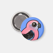 Bourke's Parakeet Magnet (Vorderseite/Rückseite)