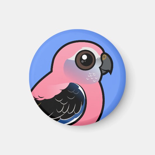 Bourke's Parakeet Magnet (Vorne)