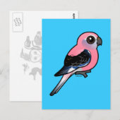 Bourke's Parakeet Postkarte (Vorne/Hinten)