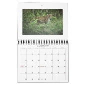 Bourretti, NORPHLET, LEOPARDS Kalender (Mär 2027)