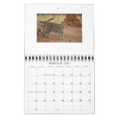 Bourretti, NORPHLET, LEOPARDS Kalender (Feb 2027)