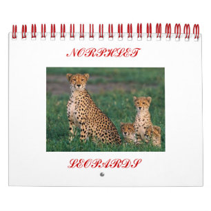 Bourretti, NORPHLET, LEOPARDS Kalender