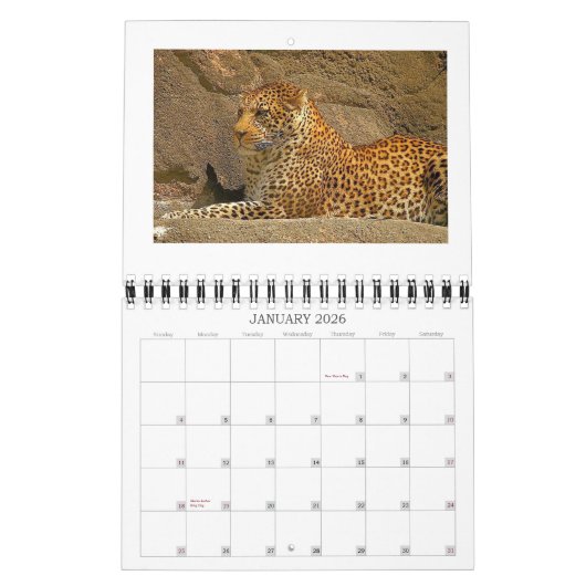 Bourretti, NORPHLET, LEOPARDS Kalender (Jan 2026)