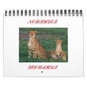 Bourretti, NORPHLET, LEOPARDS Kalender (Titelbild)
