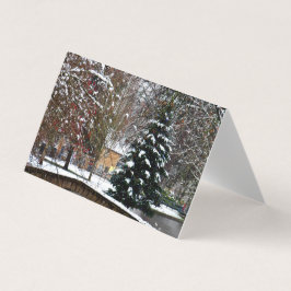 Bourton auf dem Wasser Weihnachtsbaum Cotswolds