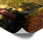 Bourton on Water Autumn Trees Cotswolds UK Poster (Ecke)