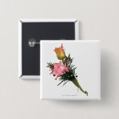 Boutonniere Button (Vorne & Hinten)