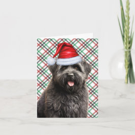Bouvier Christmas Dog Green Red Kariert Christmas Feiertagskarte