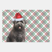 Bouvier Christmas Dog Rot und Grün Kariert Geschenkpapier Set (Vorderseite 3)