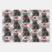 Bouvier Christmas Dog Rot und Grün Kariert Geschenkpapier Set (Vorderseite 2)