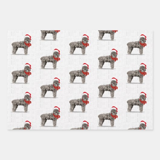 Bouvier Christmas Dog und Rot und Grau Kariert Geschenkpapier Set (Vorderseite 2)
