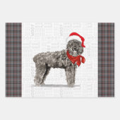 Bouvier Christmas Dog und Rot und Grau Kariert Geschenkpapier Set (Vorderseite)