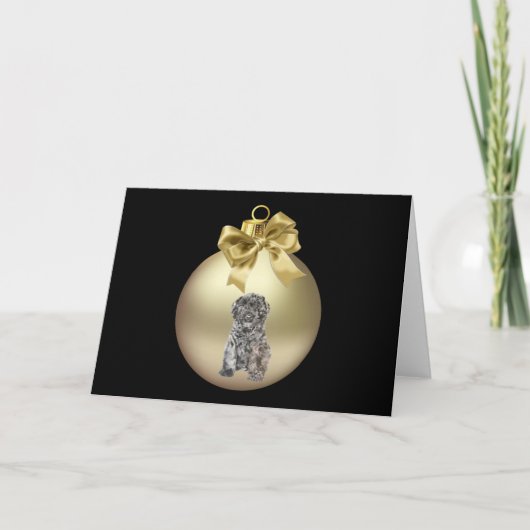 Bouvier DES Flandern Feiertagskarte (Vorderseite)