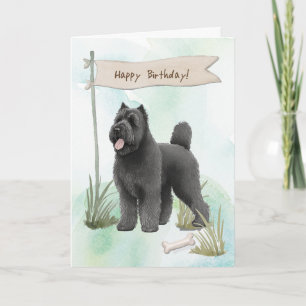 Bouvier des Flandres Breed Dog Under Birthday Sign Karte