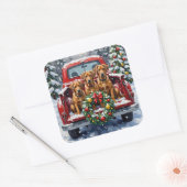 Bouvier des Flandres Christmas Red Truck Holiday Quadratischer Aufkleber (Umschlag)