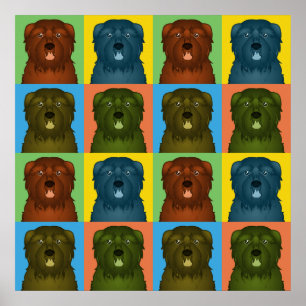 Bouvier des Flandres Dog Cartoon Pop Art Poster