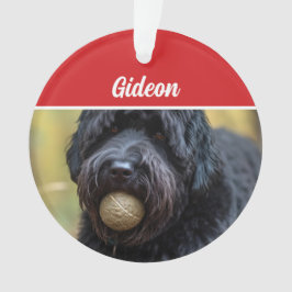 Bouvier des Flandres Dog Holiday Foto Weihnachten Ornament
