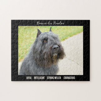 Bouvier des Flandres Foto Dog Breed Puzzle