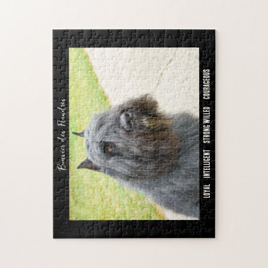 Bouvier des Flandres Foto Dog Breed Puzzle (Vertikal)