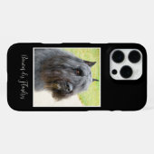 Bouvier des Flandres Foto iPhone Hülle (Rückseite (Horizontal))